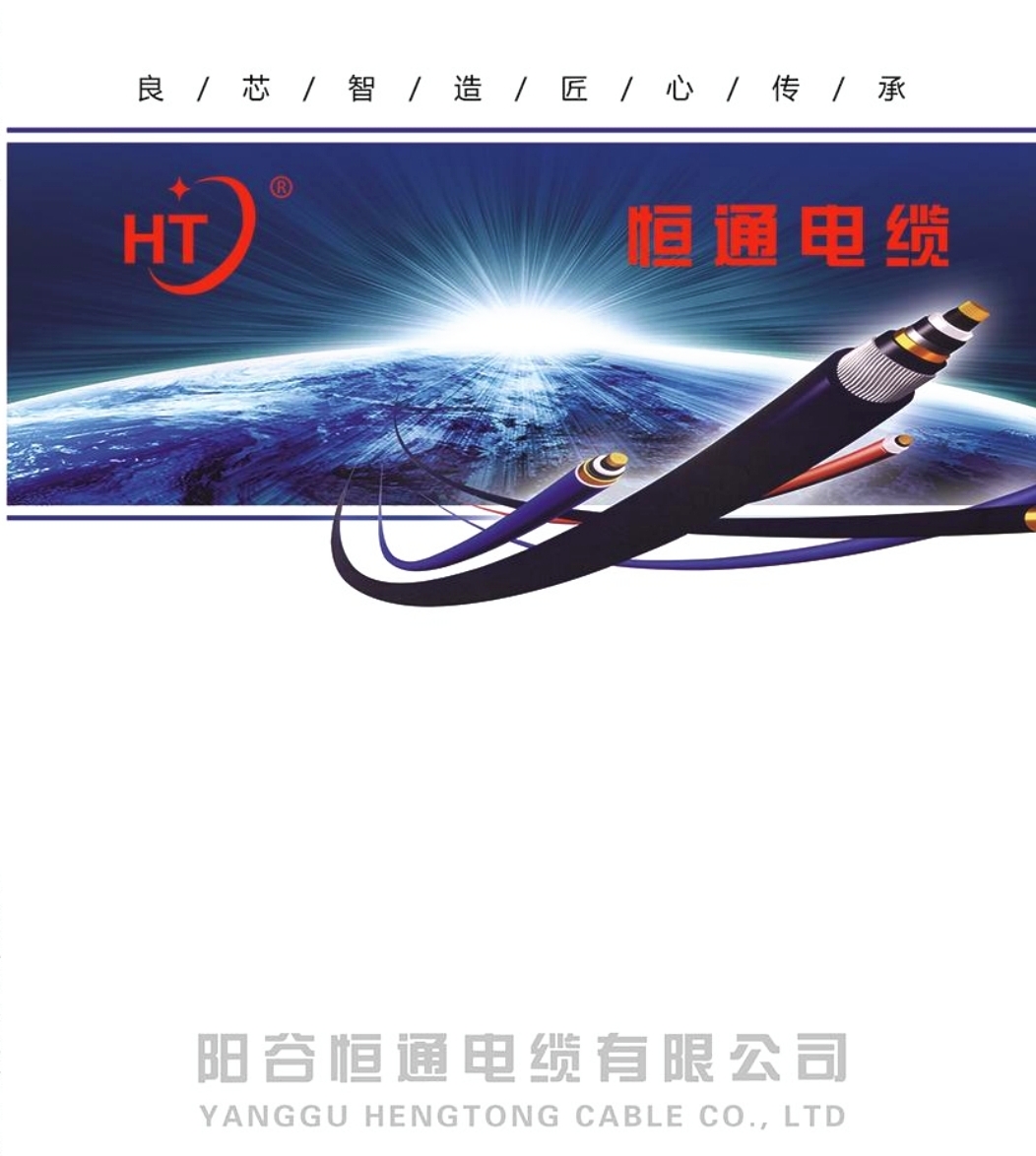 阳谷恒通电缆有限公司